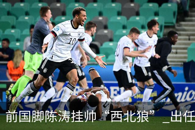 前国脚陈涛挂帅“西北狼” 出任陕西联合一线队主教练